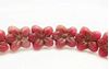 Image de 14x13 mm, perles de verre tchèque pressé, fleur de cerisier, rouge naphtol, mat, patine dorée à l'ancienne
