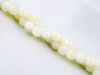 Picture of 6x6 mm, round, organic gemstone beads, seashell, white