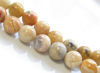 Image de 10x10 mm, perles rondes, pierres gemmes, agate de dentelle, naturelle